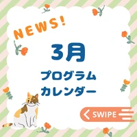 画像316