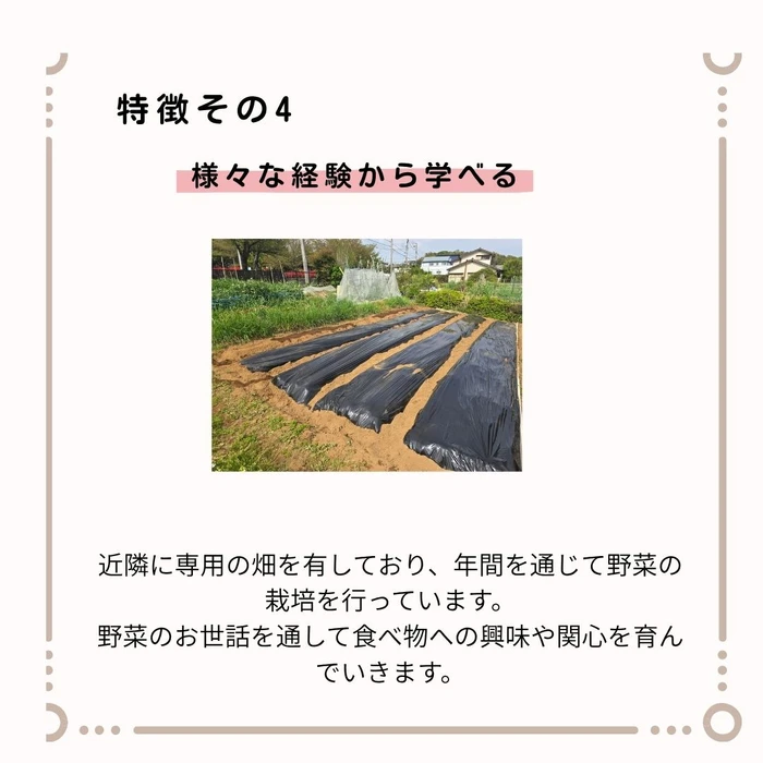 画像449