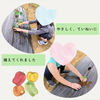 画像478