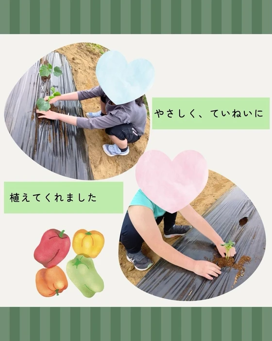 画像478
