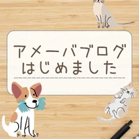 画像493