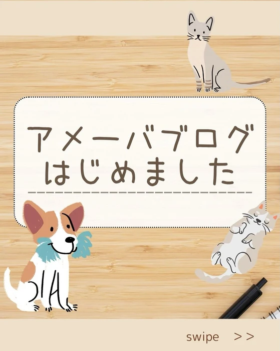 画像493