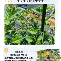 画像523