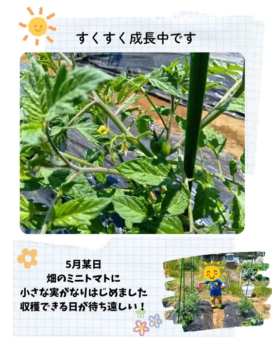 画像523