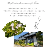 画像529