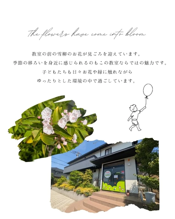 画像529