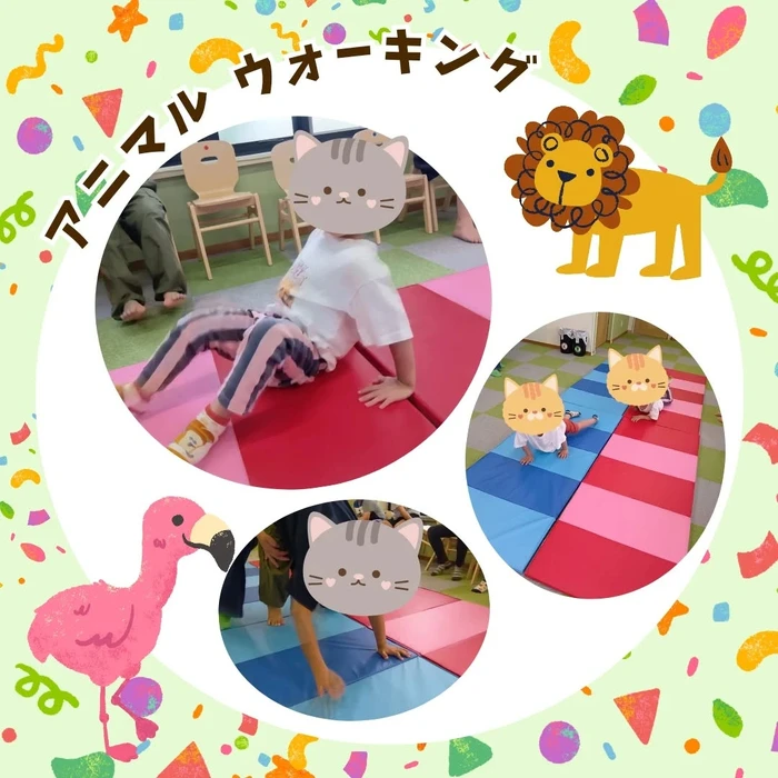 画像531
