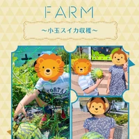 画像666