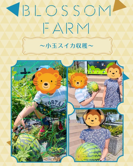 画像666