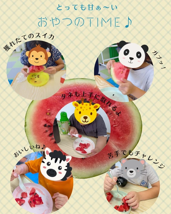 画像668