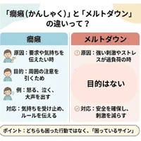 画像690